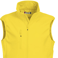 Colore GIALLO LIMONE 10